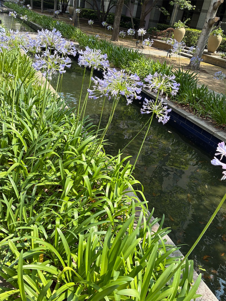 f:id:mimonsha:20250720140622j:image