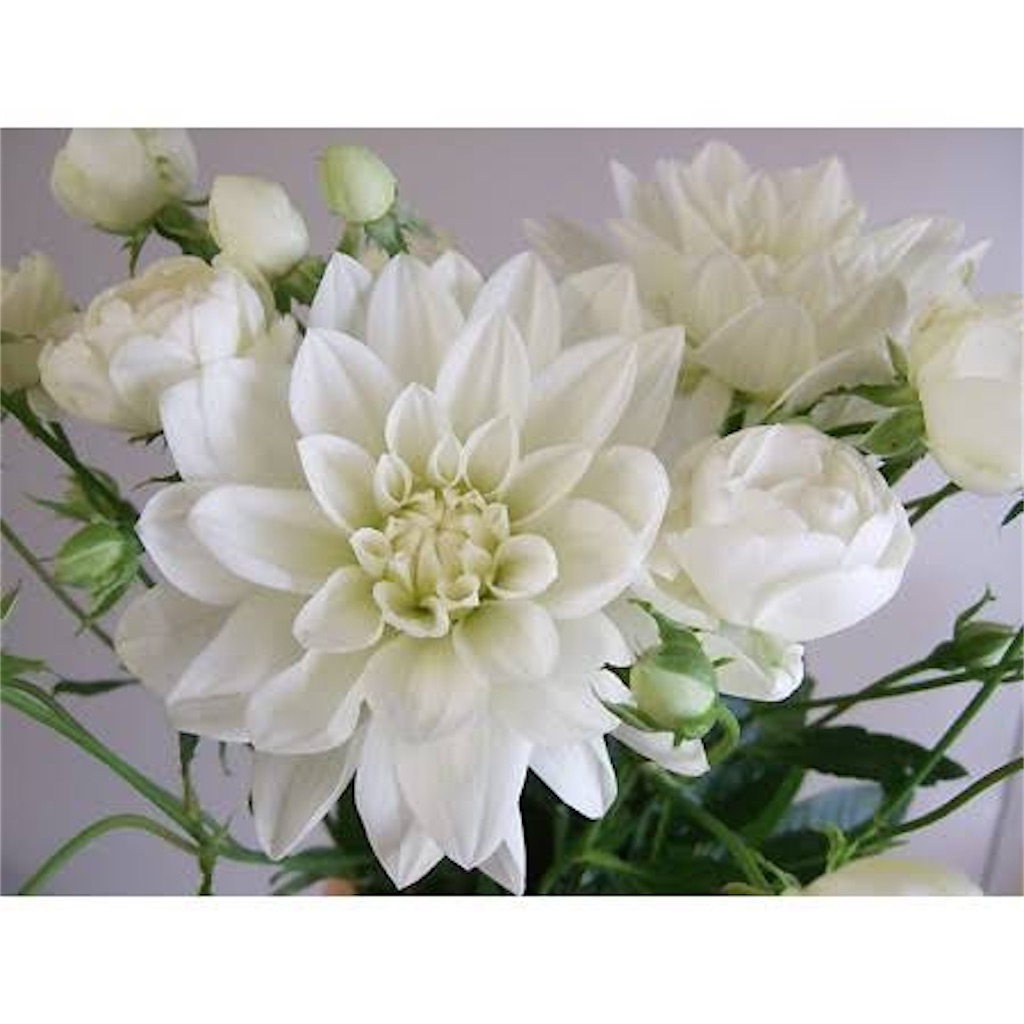 f:id:mimonsha:20250723085234j:image