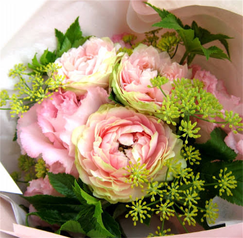 f:id:mimonsha:20250724073237j:image