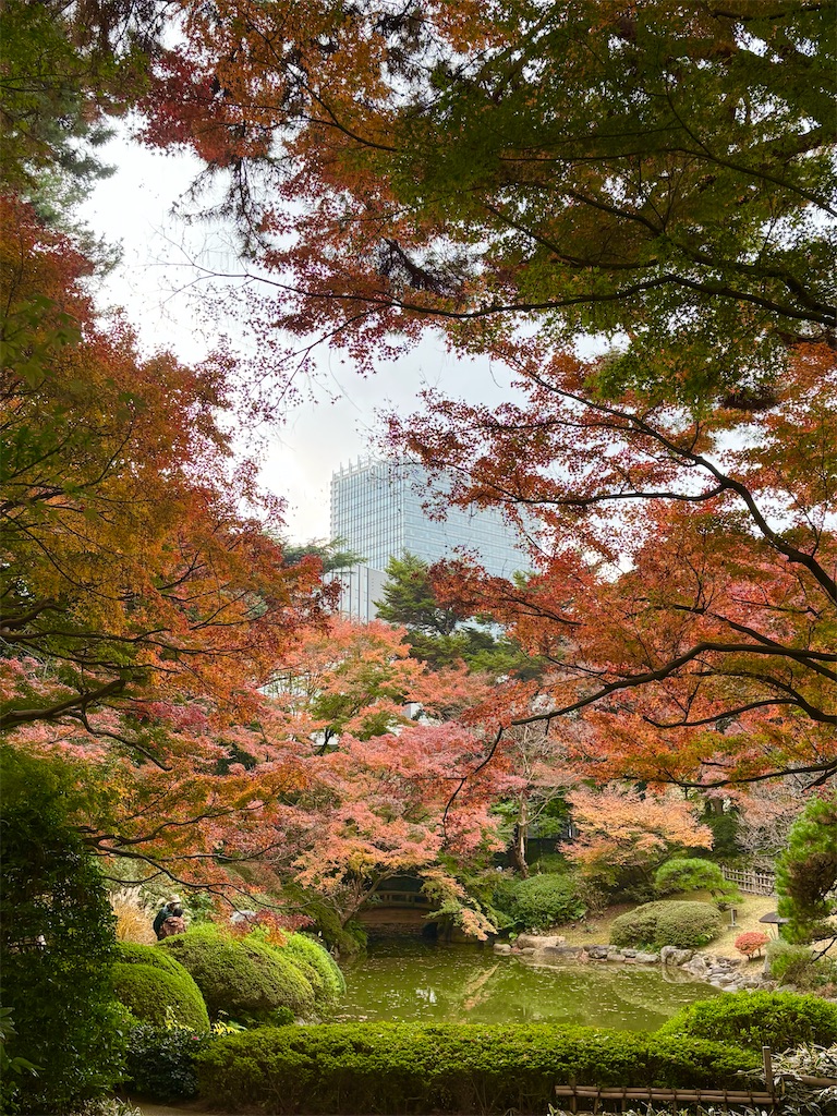 f:id:mimosa0102:20251205123521j:image