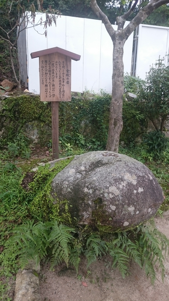 f:id:mimosapudicaseeds:20181022215143j:plain f:id:mimosapudicaseeds:20181022215143j:plain