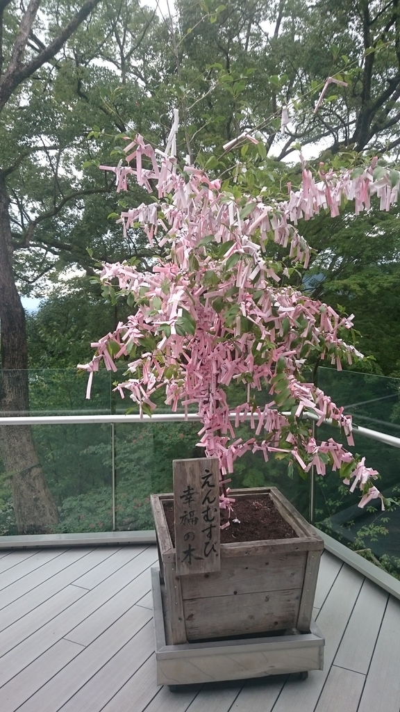 f:id:mimosapudicaseeds:20181022215201j:plain f:id:mimosapudicaseeds:20181022215201j:plain