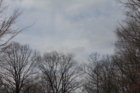 f:id:mimozaai:20110227121901j:image