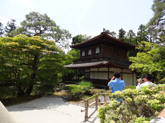 f:id:mimozaai:20140520112254j:image:w640