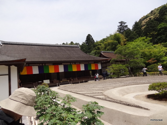 f:id:mimozaai:20140520112302j:image