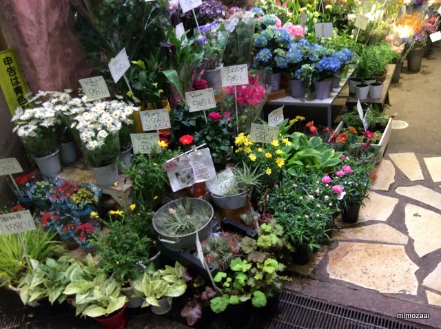 f:id:mimozaai:20140520161219j:image:w640