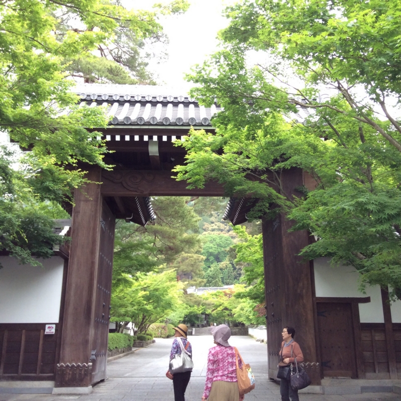 f:id:mimozaai:20140523210241j:image:w640