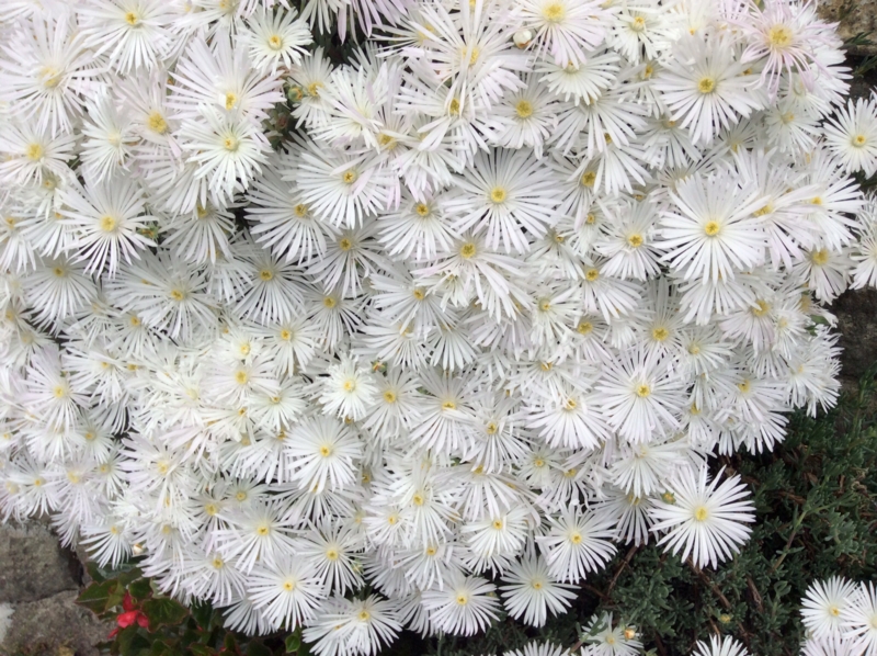 f:id:mimozaai:20140523210252j:image:w640