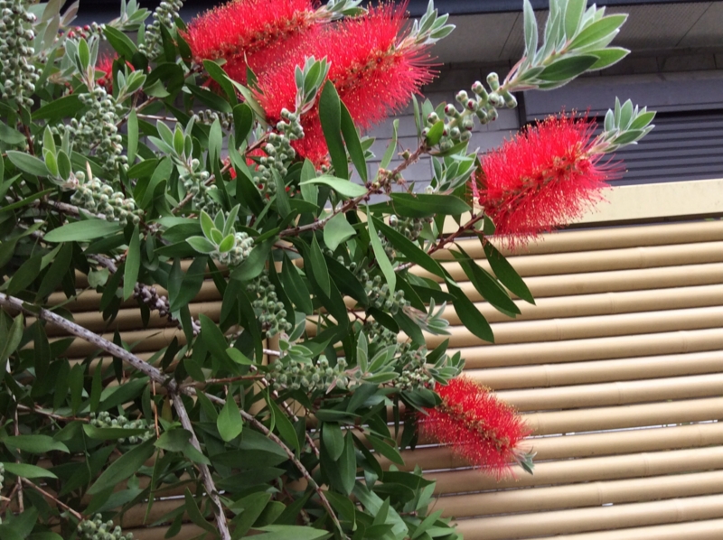 f:id:mimozaai:20140523210257j:image:w640