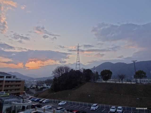 f:id:mimozaai:20150217200149j:image f:id:mimozaai:20150217200149j:image