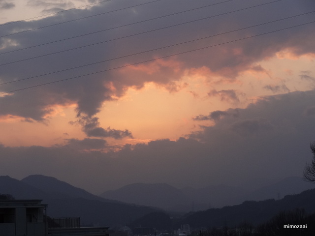 f:id:mimozaai:20150217200150j:image f:id:mimozaai:20150217200150j:image