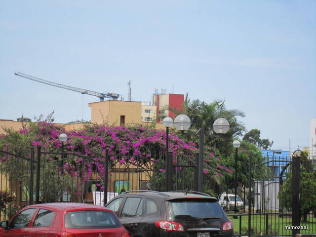 f:id:mimozaai:20150328020120j:image