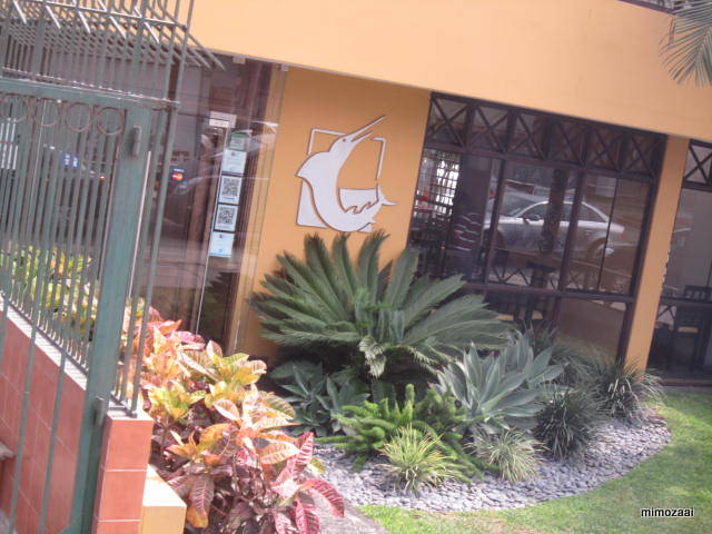 f:id:mimozaai:20150328020122j:image