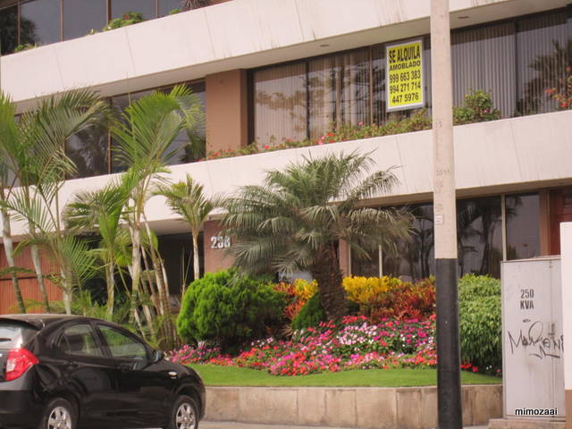 f:id:mimozaai:20150328021237j:image