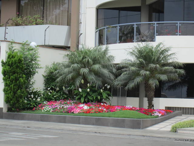 f:id:mimozaai:20150328021238j:image