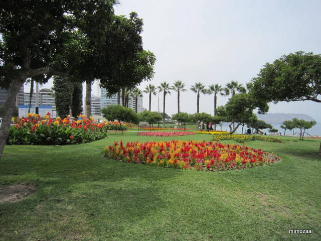 f:id:mimozaai:20150328021243j:image