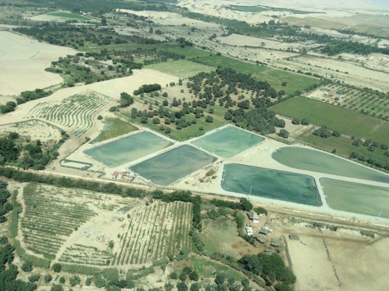 f:id:mimozaai:20150329232914j:image:w640