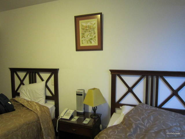 f:id:mimozaai:20150330001516j:image