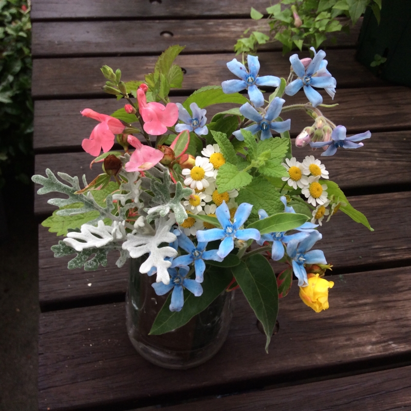 f:id:mimozaai:20150611190355j:image
