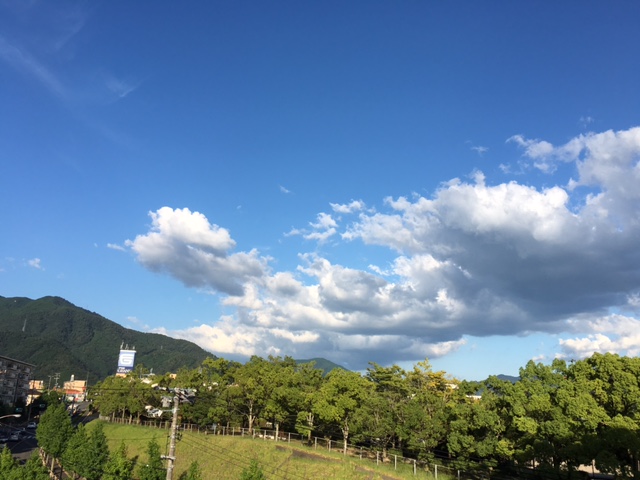 f:id:mimozaai:20160823205628j:plain f:id:mimozaai:20160823205628j:plain