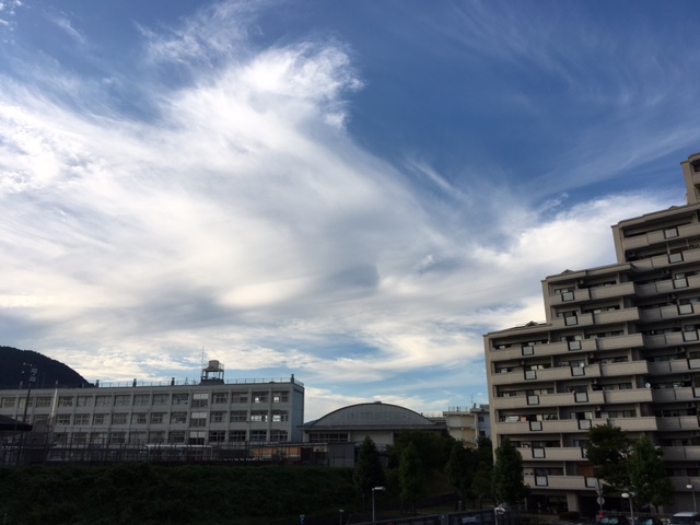 f:id:mimozaai:20160823205736j:plain f:id:mimozaai:20160823205736j:plain