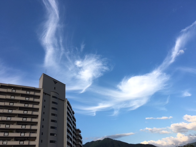 f:id:mimozaai:20160823205755j:plain f:id:mimozaai:20160823205755j:plain