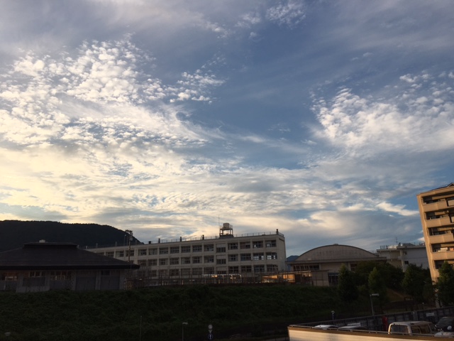f:id:mimozaai:20160823205941j:plain f:id:mimozaai:20160823205941j:plain