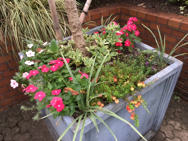 f:id:mimozaai:20160907220539j:plain