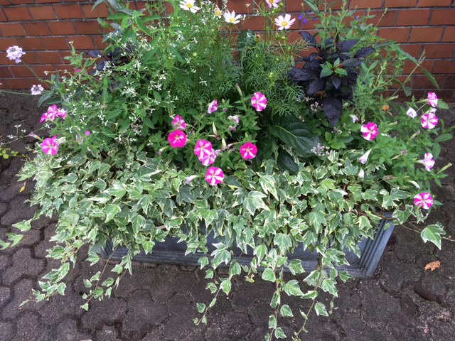 f:id:mimozaai:20160907220550j:plain