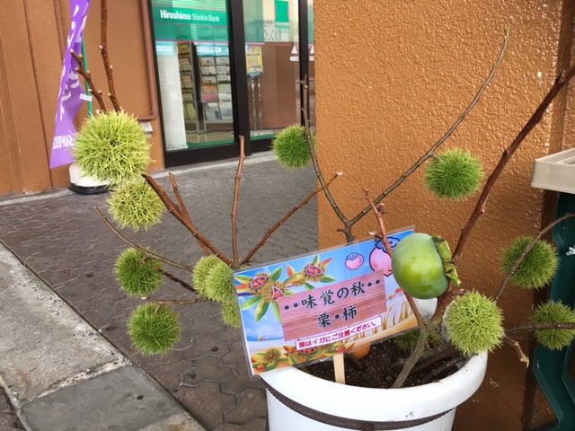 f:id:mimozaai:20160907220702j:plain