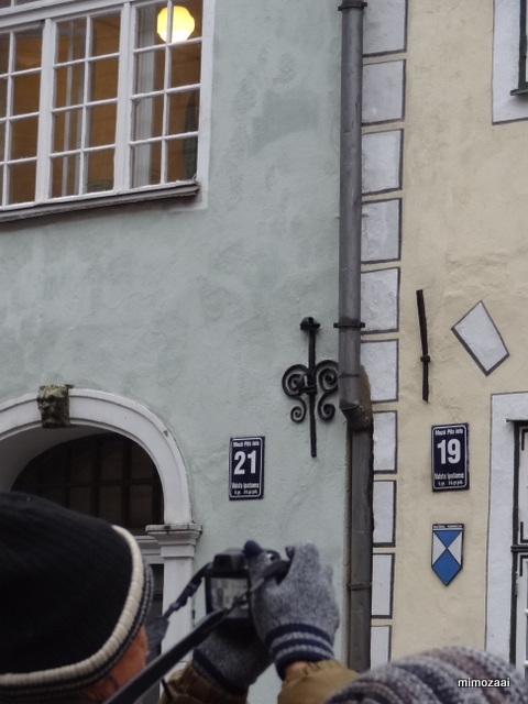 f:id:mimozaai:20161124185059j:plain