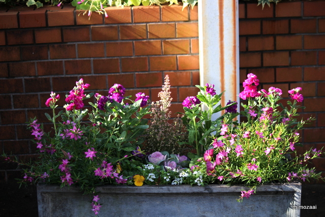 f:id:mimozaai:20161210211548j:plain