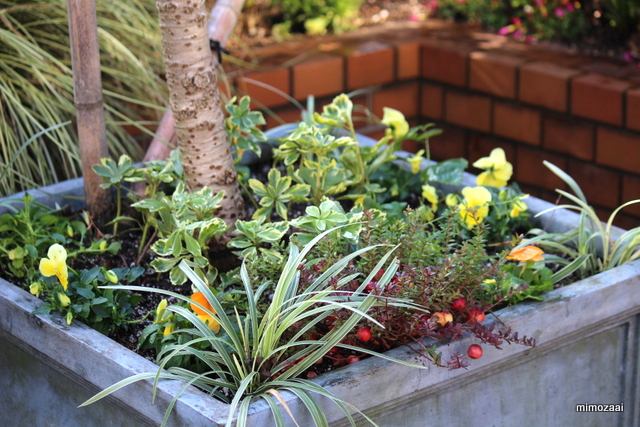 f:id:mimozaai:20161210211556j:plain