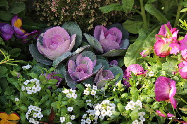 f:id:mimozaai:20161210211625j:plain