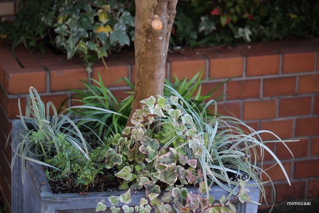 f:id:mimozaai:20161210211633j:plain