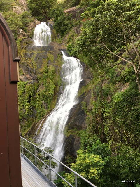 f:id:mimozaai:20170417140143j:plain f:id:mimozaai:20170417140143j:plain