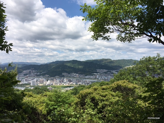 f:id:mimozaai:20170528194514j:plain