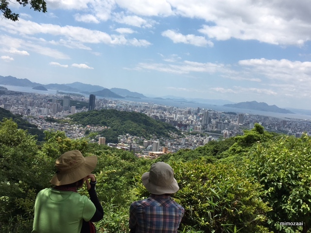 f:id:mimozaai:20170528194544j:plain