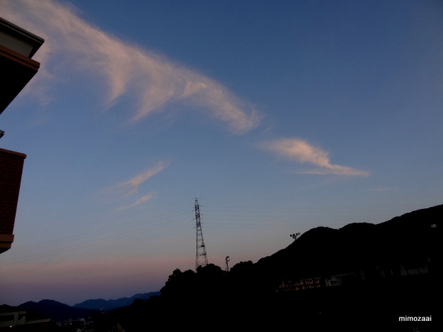 f:id:mimozaai:20170605220447j:plain