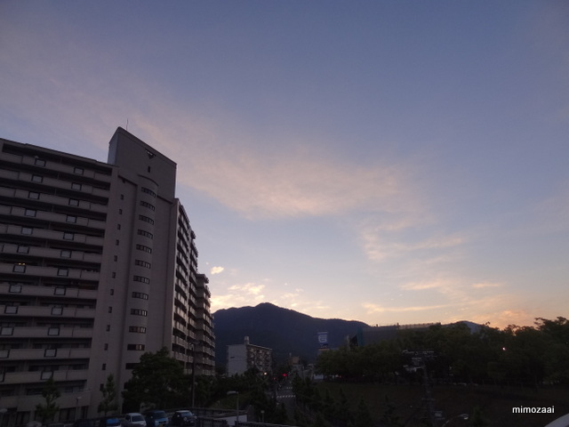 f:id:mimozaai:20170605220458j:plain