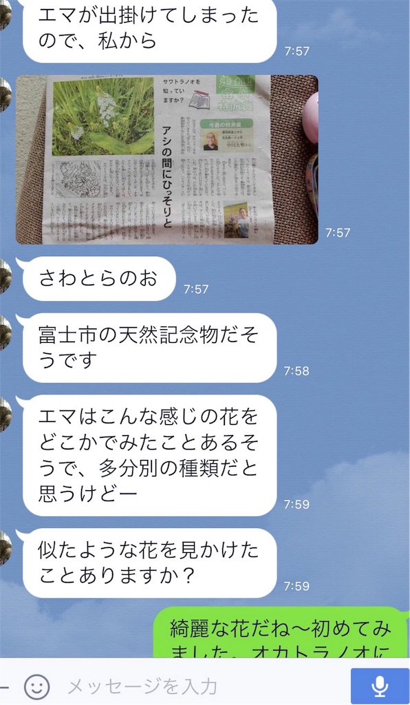 f:id:mimozaai:20170628192529j:plain