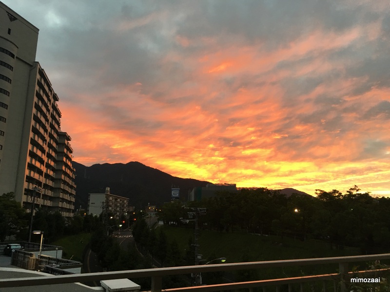 f:id:mimozaai:20170831221844j:plain