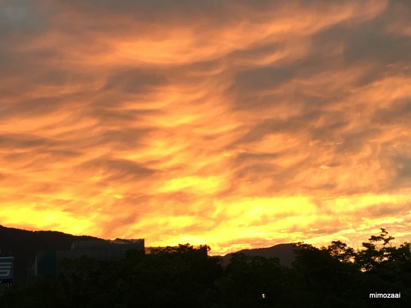 f:id:mimozaai:20170831222004j:plain