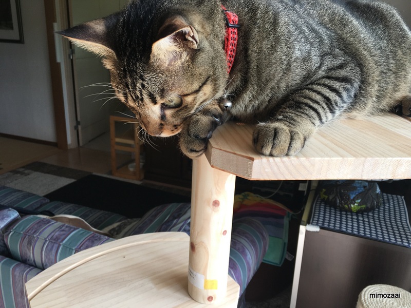 f:id:mimozaai:20170831222805j:plain