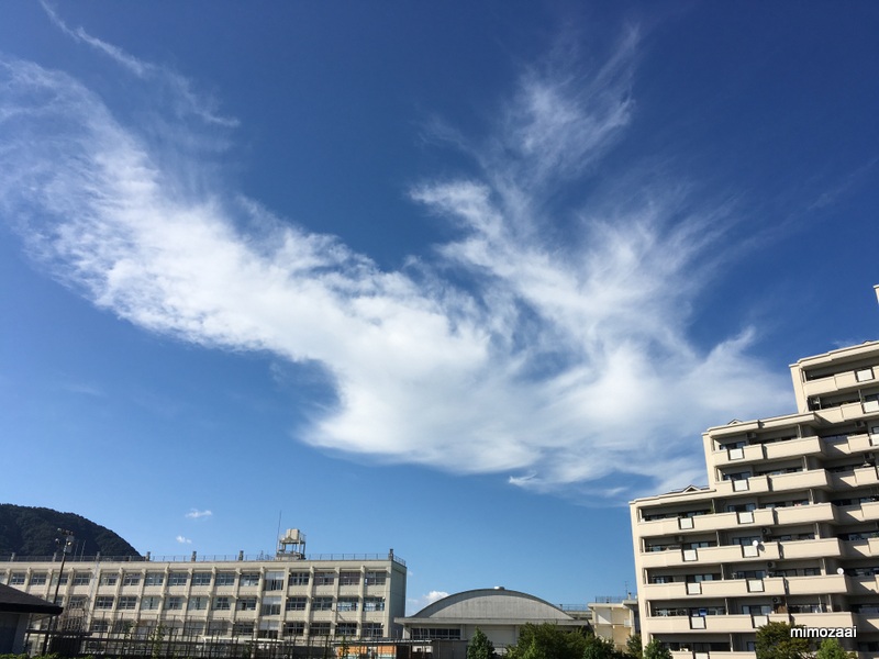 f:id:mimozaai:20170831222947j:plain