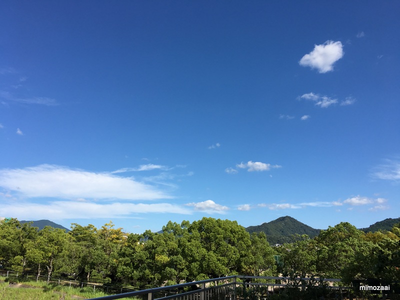 f:id:mimozaai:20170831223006j:plain