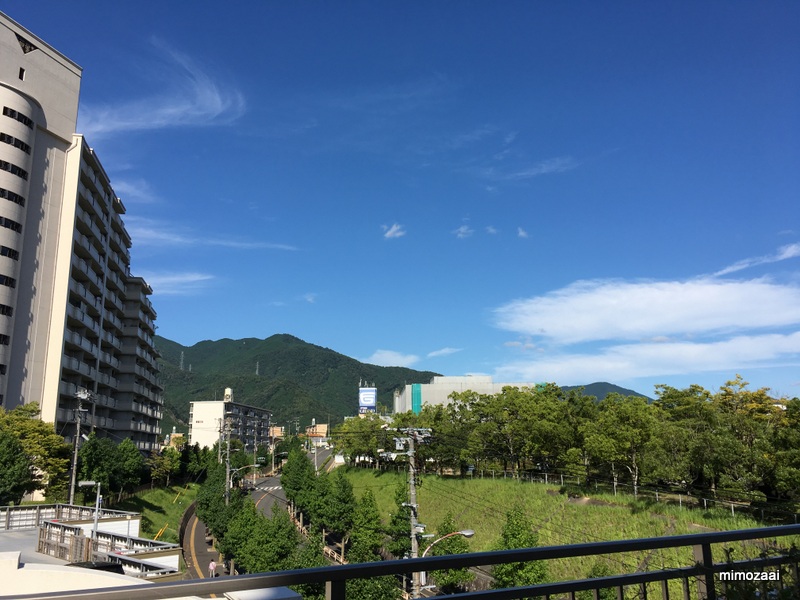 f:id:mimozaai:20170831223031j:plain