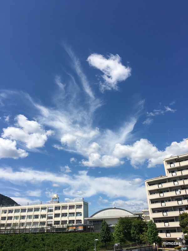 f:id:mimozaai:20170831223128j:plain