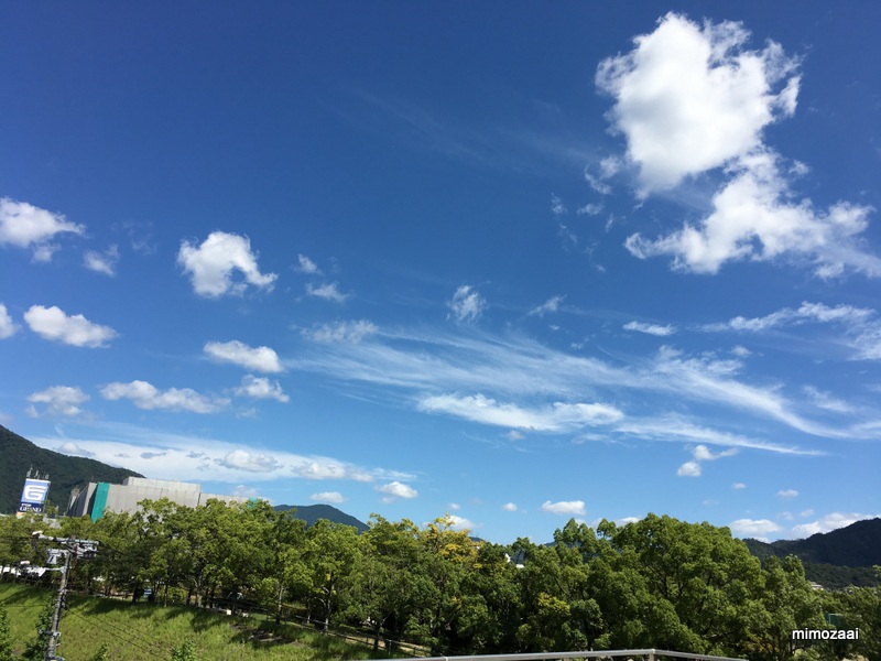 f:id:mimozaai:20170831223146j:plain