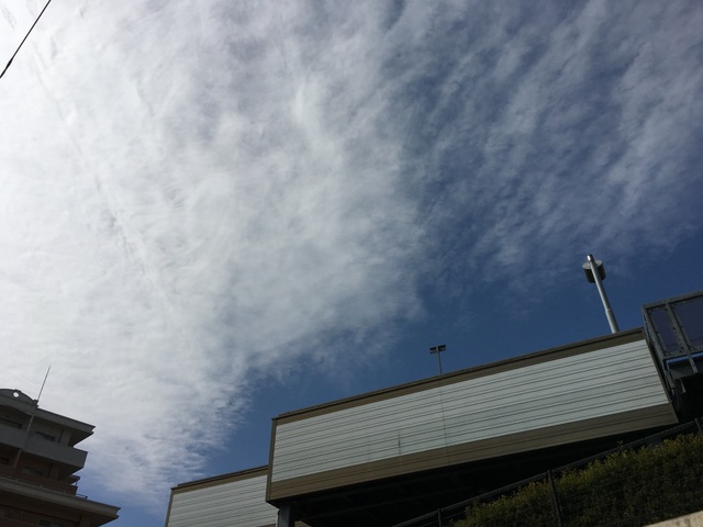 f:id:mimozaai:20180218200427j:plain